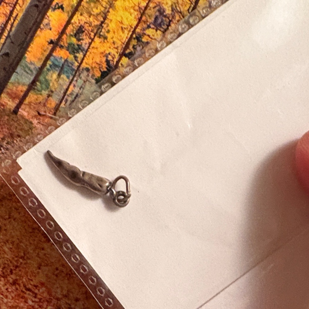Silver chili paper  Pendant Charm. Vintage. 1960s